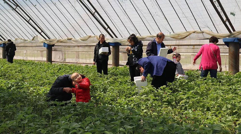 微信圖片_20200304141453.jpg 微信圖片_20200304141453.jpg